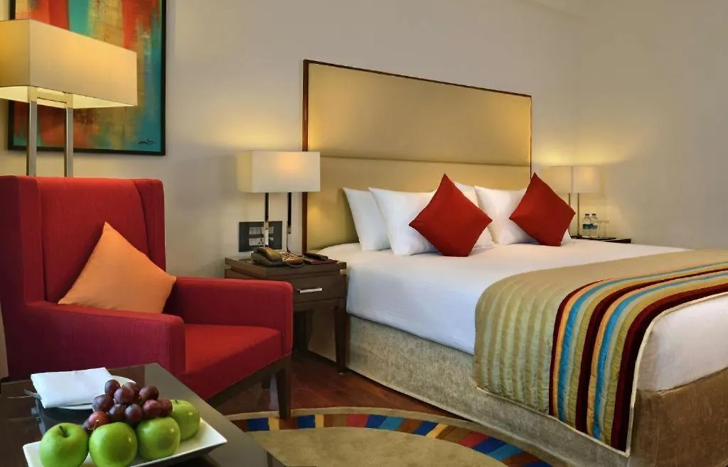 Hotel Royal Infinity Near Delhi Airport New Delhi